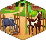 Horsecare Apprenticeship